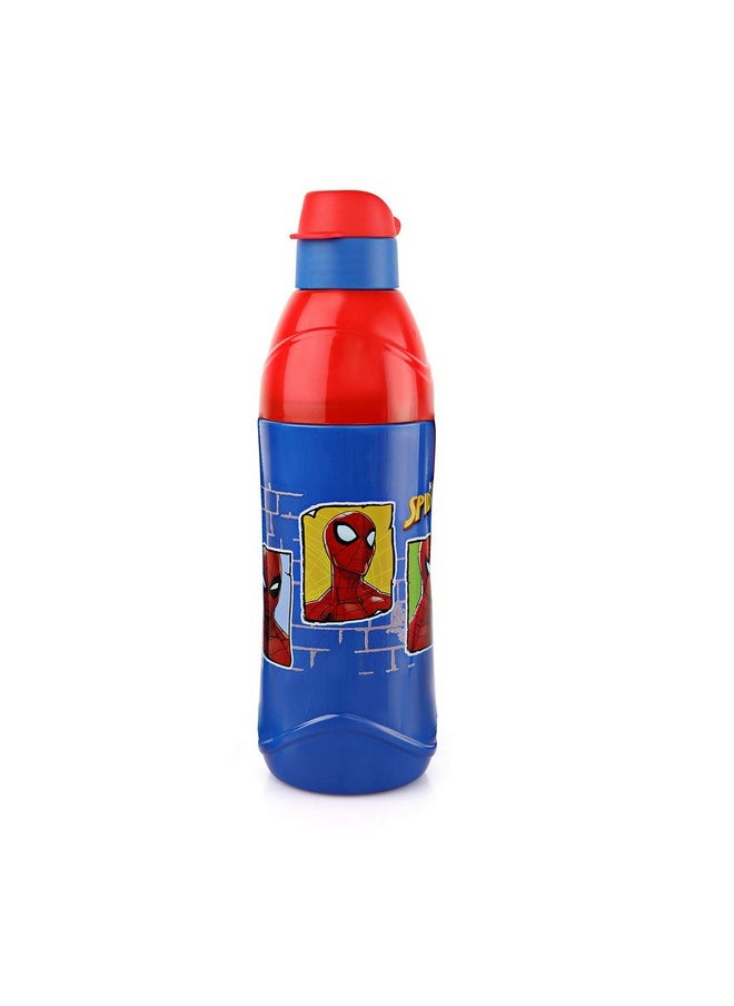 CELLO Puro Steel-X Kids Zee 900 Water Bottle | Spiderman Water Bottle | Leakproof | Cold Insulation | Pack of 1 | 700ml | Blue