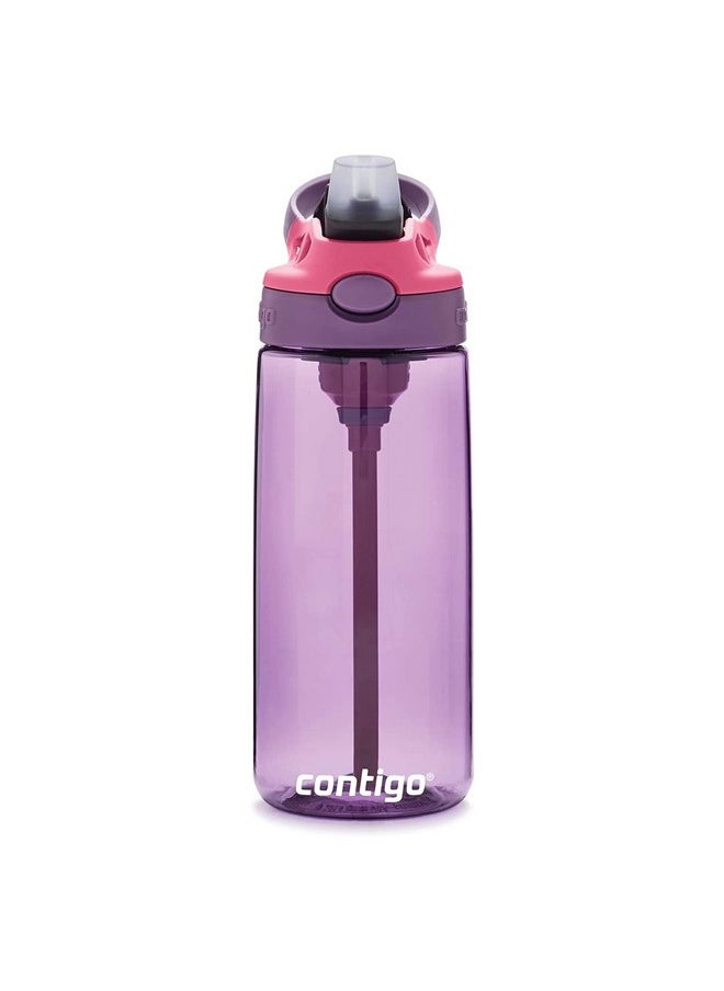 Contigo Aubrey Kids 20oz Cleanable Water Bottle with Silicone Straw, Spill-Proof Lid, Eggplant - Dishwasher Safe and Ideal for Everyday Use