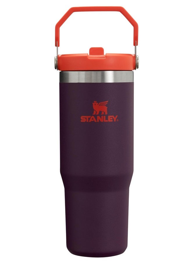 Stanley IceFlow Flip Straw Tumbler with Handle 30 oz | Twist On Lid and Flip Up Straw | Leak Resistant Water Bottle | Insulated Stainless Steel |BPA-Free | Plum