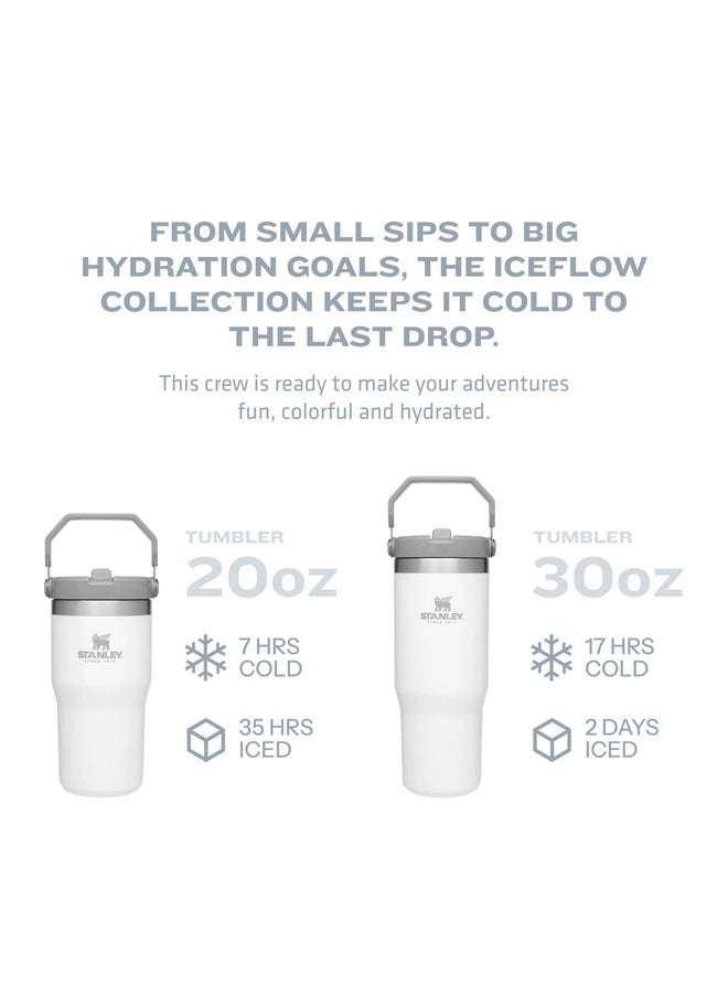 Stanley IceFlow Flip Straw Tumbler with Handle 30 oz | Twist On Lid and Flip Up Straw | Leak Resistant Water Bottle | Insulated Stainless Steel |BPA-Free | Plum