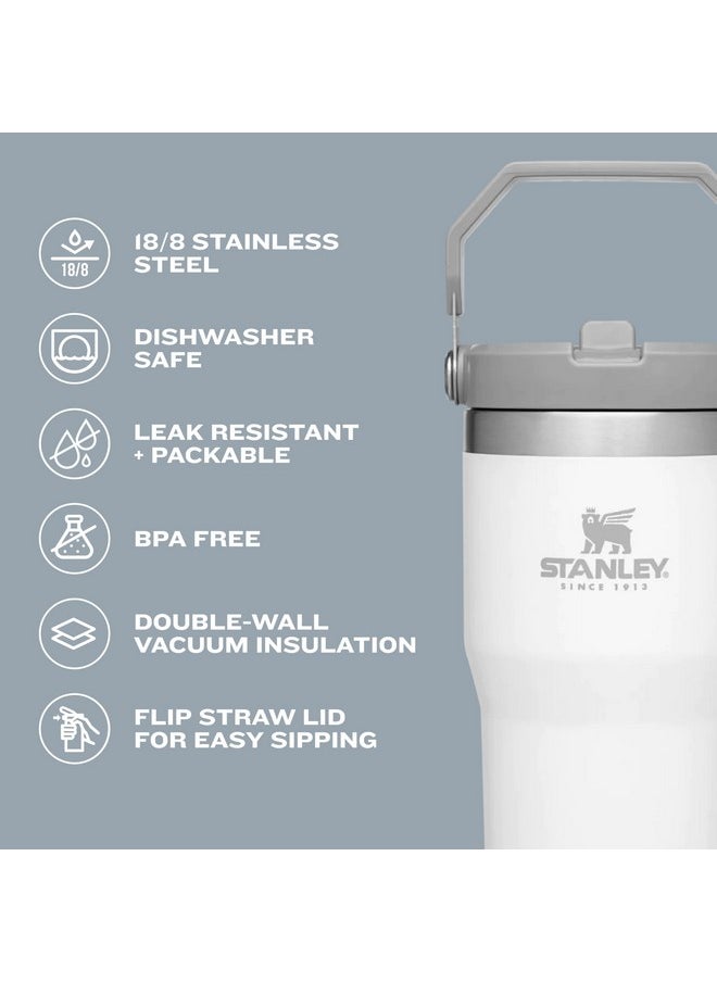 Stanley IceFlow Flip Straw Tumbler with Handle 20 oz | Twist On Lid and Flip Up Straw | Leak Resistant Water Bottle | Insulated Stainless Steel |BPA-Free | Ash