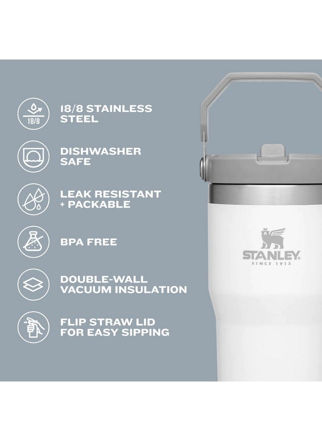 Stanley IceFlow Flip Straw Tumbler with Handle 20 oz | Twist On Lid and Flip Up Straw | Leak Resistant Water Bottle | Insulated Stainless Steel |BPA-Free | Lilac