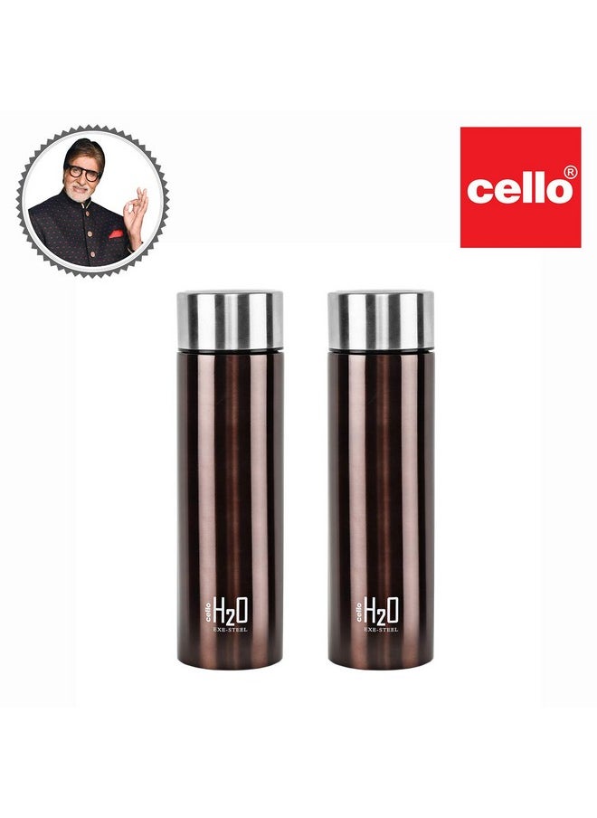 H2O Stainless Steel Water Bottle Set, 1 Litre, Set Of 2, Brown