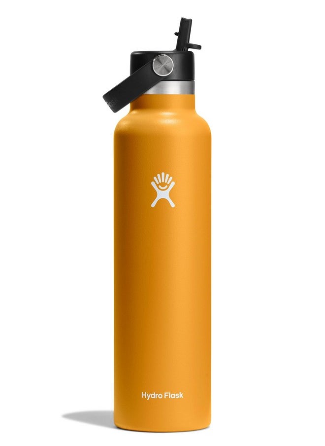 Hydro Flask 24 Oz Standard Flex Straw Cap Fossil