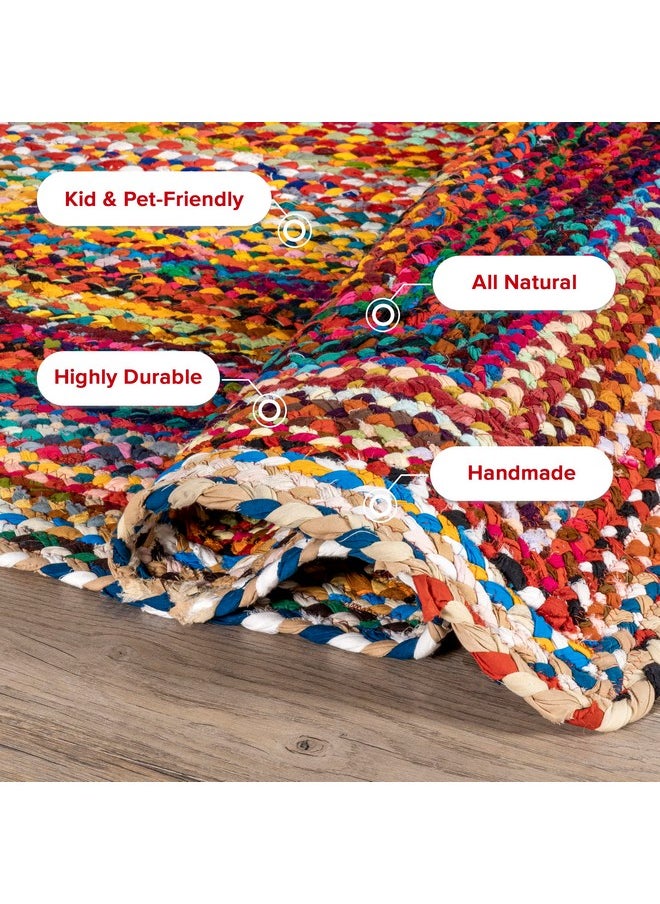 nuLOOM Tammara Bohemian Hand Braided Accent Rug, 2x3, Multi