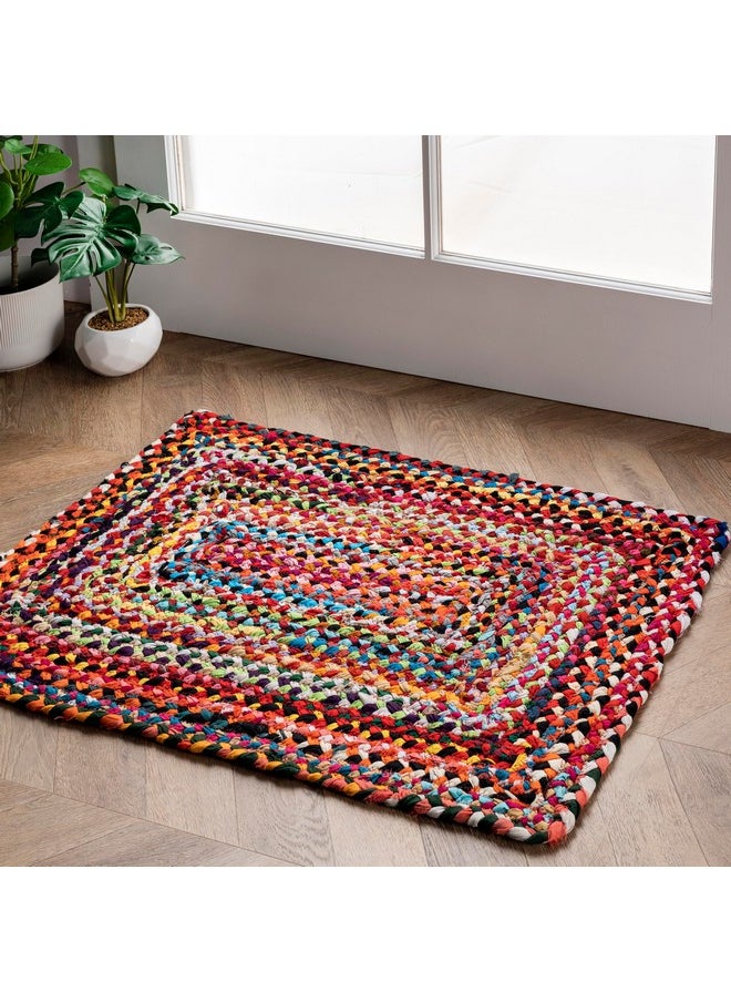 nuLOOM Tammara Bohemian Hand Braided Accent Rug, 2x3, Multi