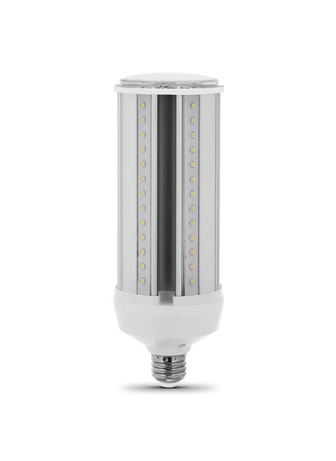 Feit Electric C4000/5K/LEDG2 300W Equivalent Mini Corn Bulb, Corn Cob High Output LED Light Bulb, E26 Base, 5000K Daylight, 3” x 3” x 7”