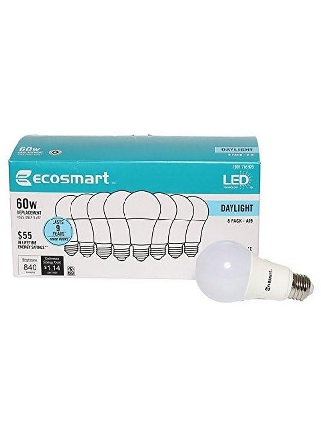 Ecosmart 8-Pack A19 - 60 Watt Equivalent Daylight (5000K) LED Light Bulb