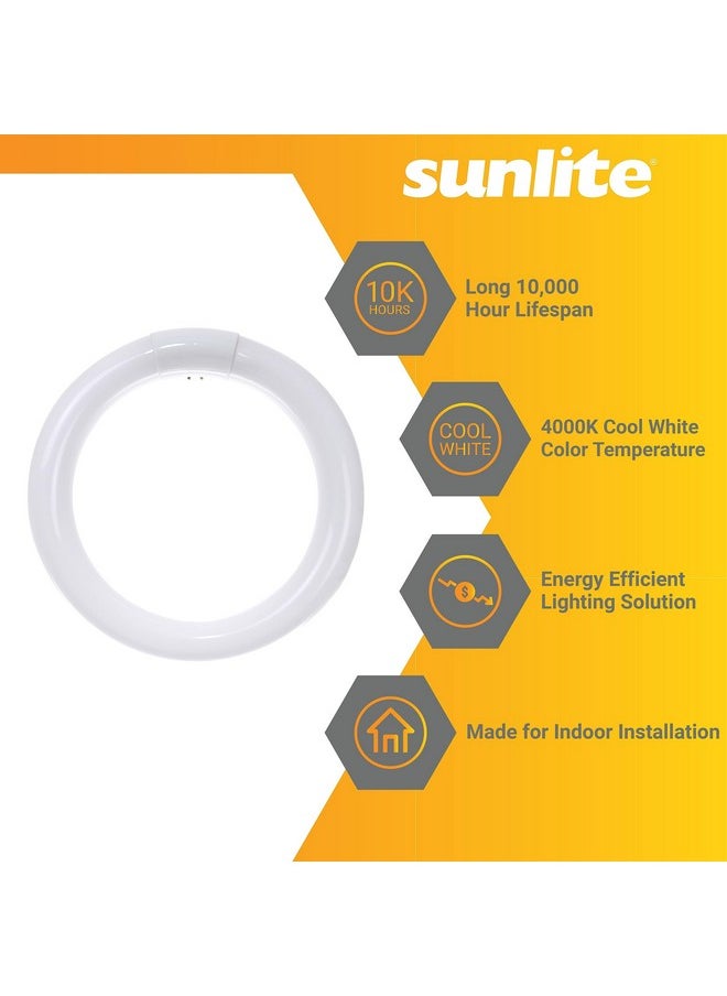 Sunlite 41316 FC8T9/CW 8-Inch T9 Round Fluorescent Circline Lamp, 22 Watts, 1250 Lumens, 4100K Cool White, G10Q 4-Pin Base, 1 Pack