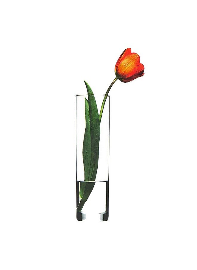 Incrizma Imported Cylinder Glass Vase (H-20 cm),Transparent