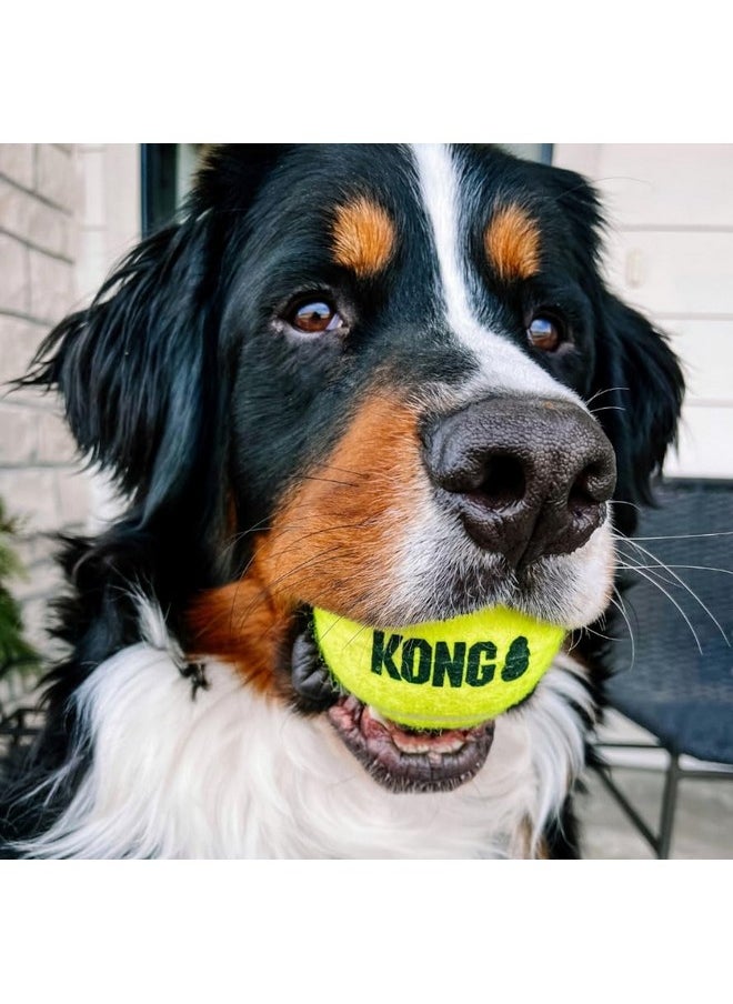 Kong Air Squeaker Tennis Balls Size:Medium(6_Balls)