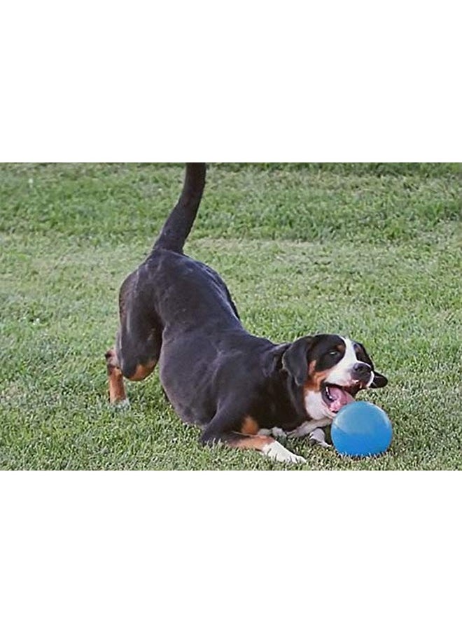 Goofy Tails Dog Ball Dog Toys| Big Ball 11 cm Dog Ball for Large Dogs| Dog Balls for Dogs| Dog Toys for Large Dogs| Non Toxic Chew Toys for Dogs (Colour May Vary)