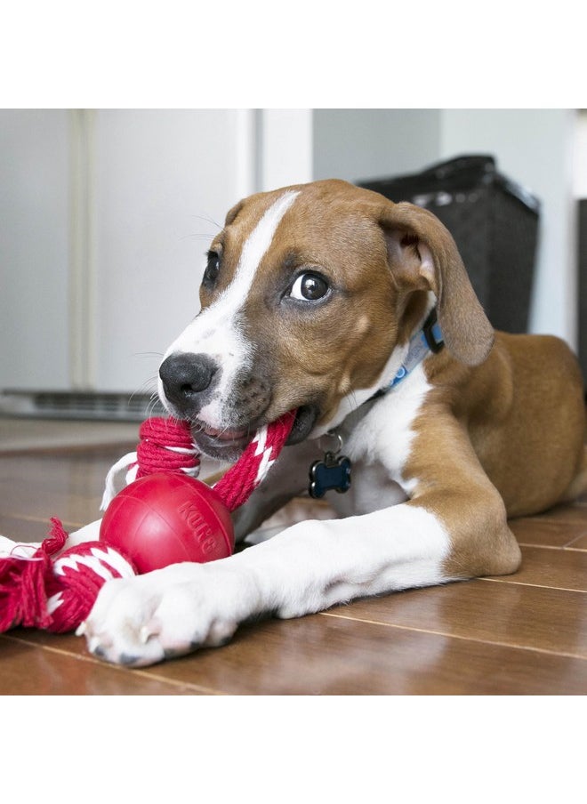 KONG Ball with Rope - Dog Fetch Toy with Rope for Easy Throwing - Durable Dog Ball Toy for Tug, Playtime & More - Natural Rubber Ball Rope Toy for Dogs - Red, For Small Dogs