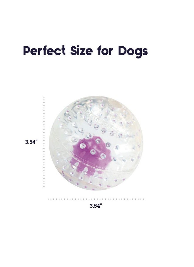 Petstages Nubbiez Treat and Squeak Ball Dog Toy