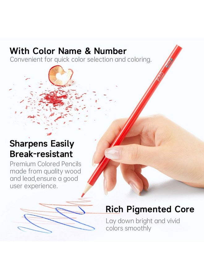 Shuttle Art 288 PCS Colored Pencils Bulk, 12 Assorted Colors, Pre-sharpened Colored Pencils for Kids with Sharpeners, Bulk Pack School Supplies for Teachers & Students
