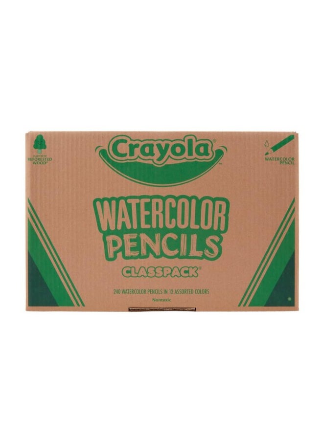 Crayola Classpack Watercolor Pencils, 240ct, 20 each of 12 Colors, Great for Classroom, Educational, Art Tools