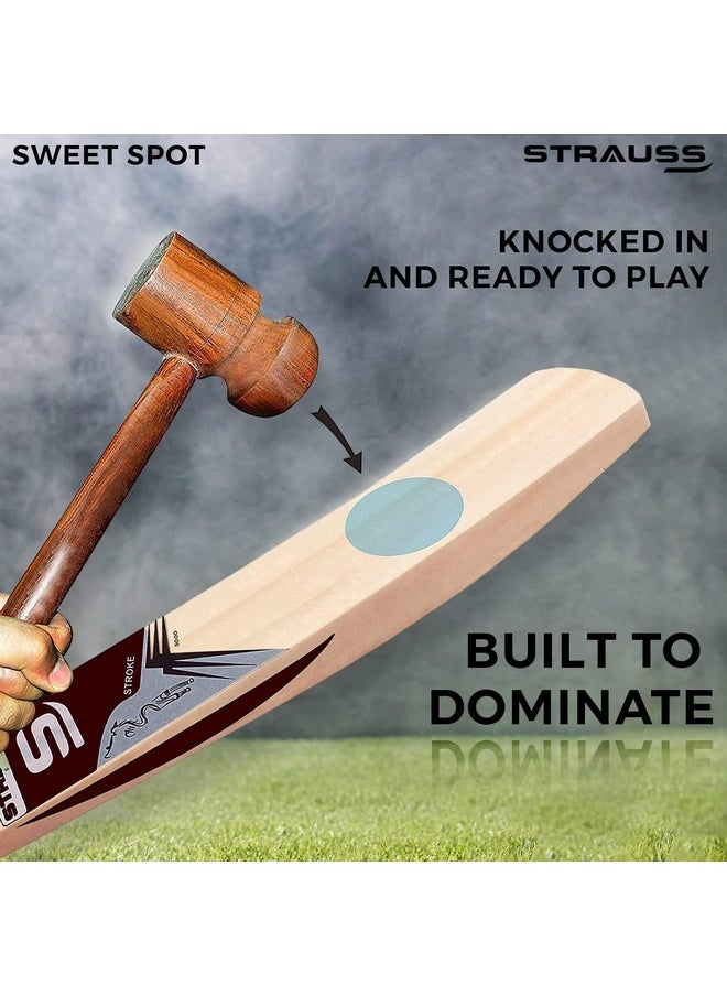 Strauss Cricket Bat | Edition: 5000 | Kashmir Willow | Size: SH | Tennis & Synthetic Ball Cricket Bat | Tennis Cricket Bat