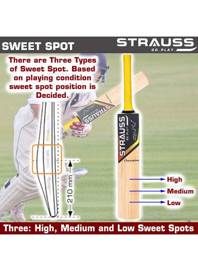 Strauss Cricket Bat | Edition: Champion | Kashmir Willow | Size: 5 | Tennis & Synthetic Ball Cricket Bat | Tennis Cricket Bat