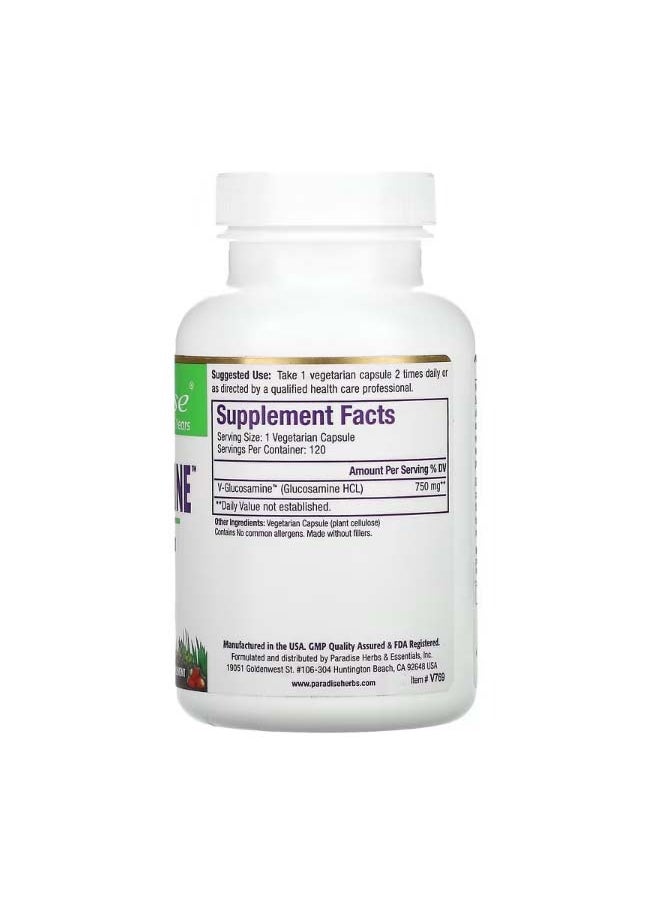 V Glucosamine 120 Vegetarian Capsules