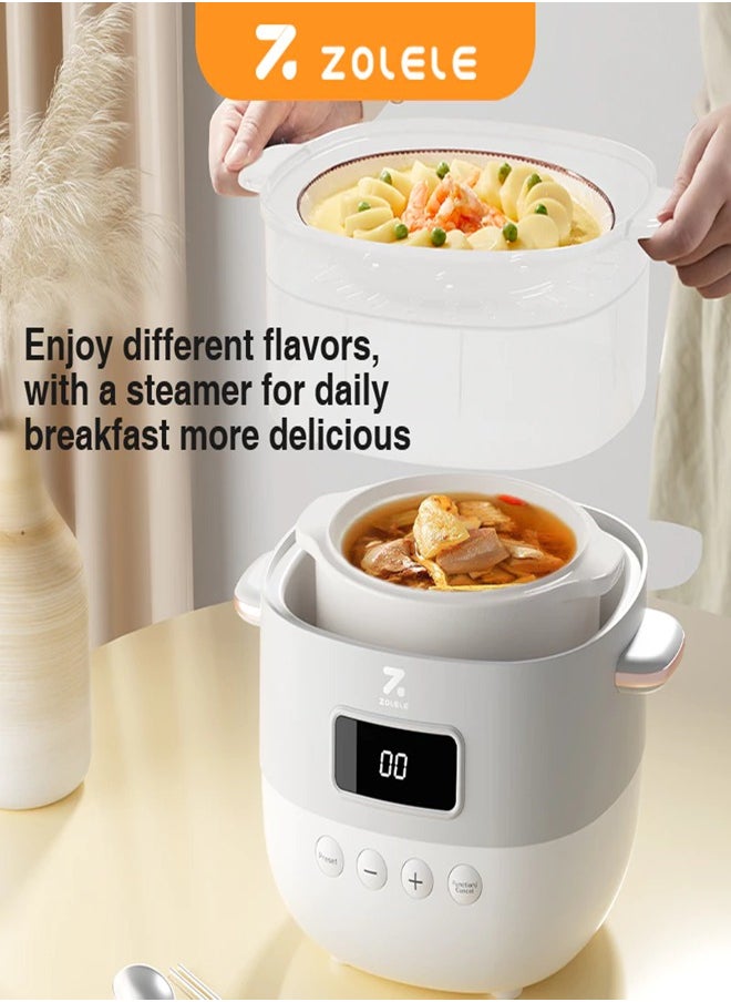 Multi-Function Electric Stew Pot – Versatile Cooking for Soups, Stews, Porridge, and More with Advanced Heat Control, Energy-Efficient Design, and Compact Household Size ES101- White