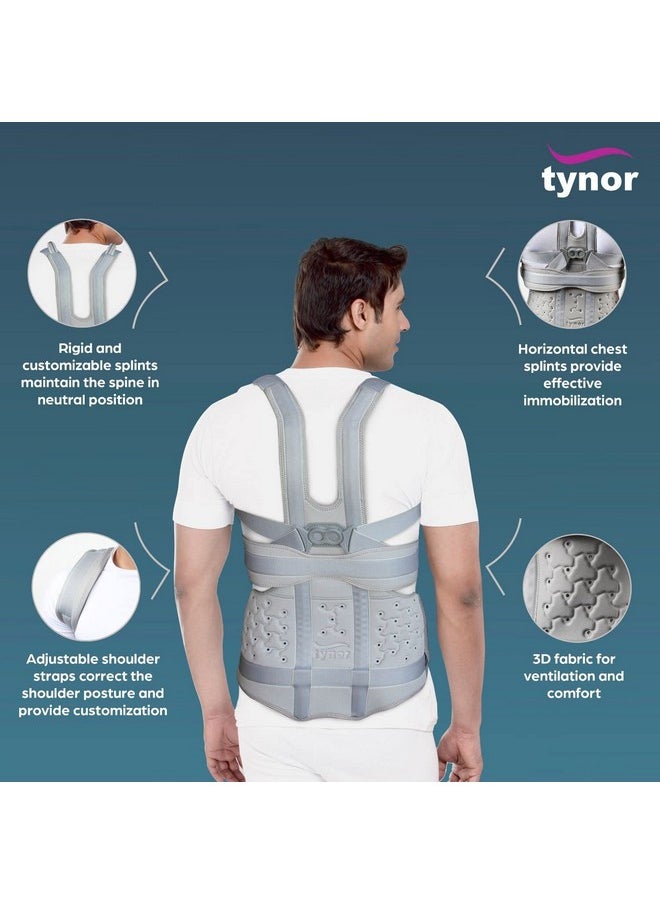 TYNOR Taylor's Brace Urbane Long, for Lower Back Pain Relief & Posture Correction | Long Brace for Daily Comfort for Men & Women | Tailbone Back Posture Corrector, Universal Size (Grey, 1 Unit)