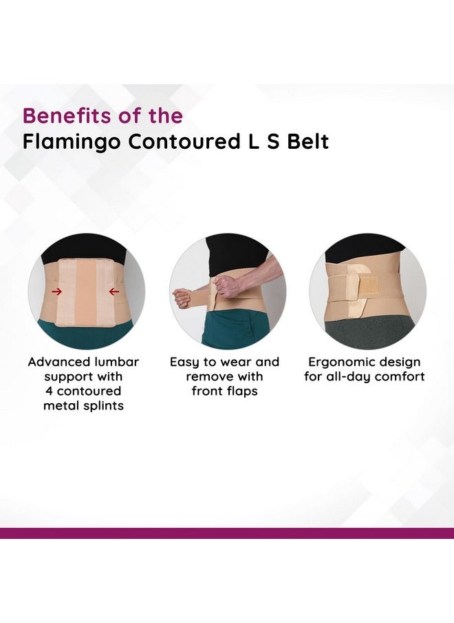 Flamingo Contoured Lumbar Sacro Belt for Lower Back Support, Pain Relief, and Posture Correction | For Men & Women | Size - XXL | Pack of 1| Beige