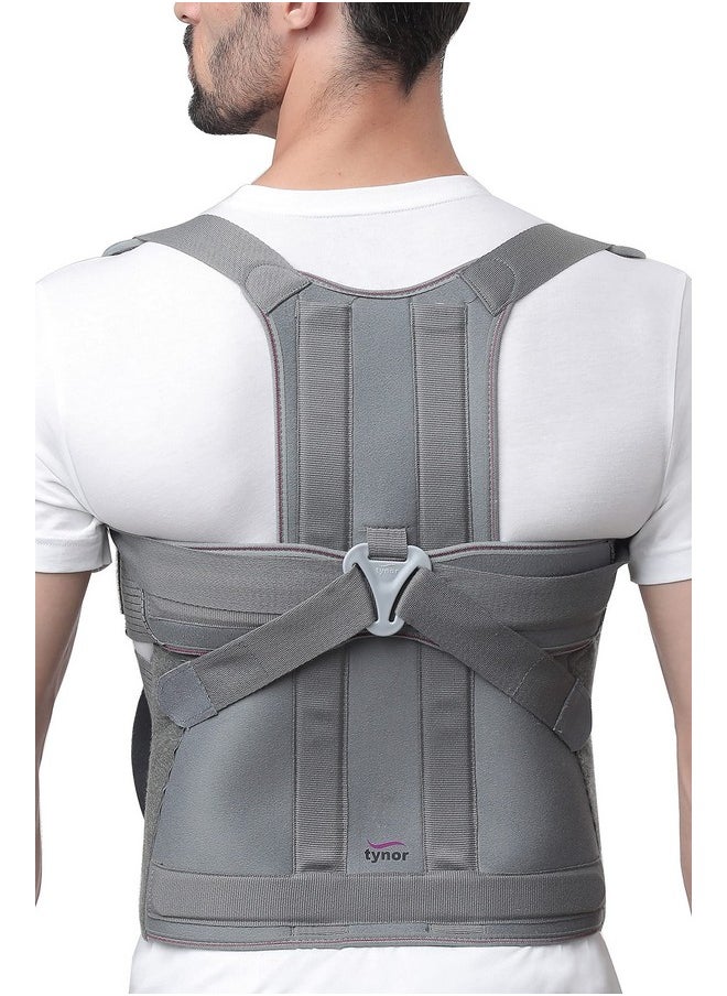 TYNOR Taylor's Brace Short, for Lower Back Pain Relief & Posture Correction | Short Brace for Daily Comfort for Men & Women | Tailbone Back Posture Corrector, Universal Size (Grey, 1 Unit)