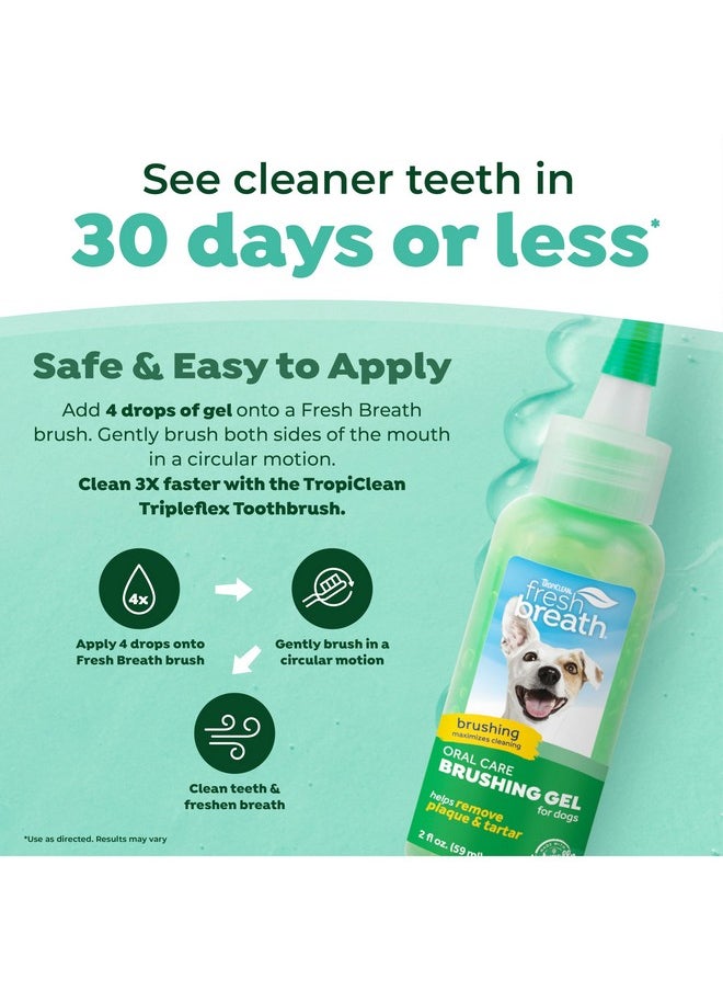 TropiClean Oral Care Brushing Gel for Dogs & Cats| Dog Toothpaste | Pet Dental Gel | Dog Teeth Cleaning Use with Pet Toothbrush | 2 oz