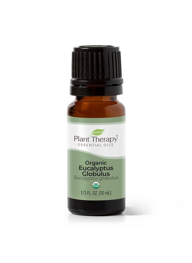 Plant Therapy Organic Eucalyptus Globulus Essential Oil 100% Pure, USDA Certified Organic, Undiluted, Natural Aromatherapy, Therapeutic Grade 10 mL (1/3 oz)