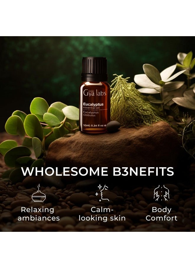 Gya Labs Eucalyptus Essential Oil for Diffuser - Eucalyptus Oil for Skin - Eucalyptus Essential Oil for Aromatherapy Humidifier & Candle Making - 100% Natural Fresh Cooling Scent (0.34 Fl Oz)