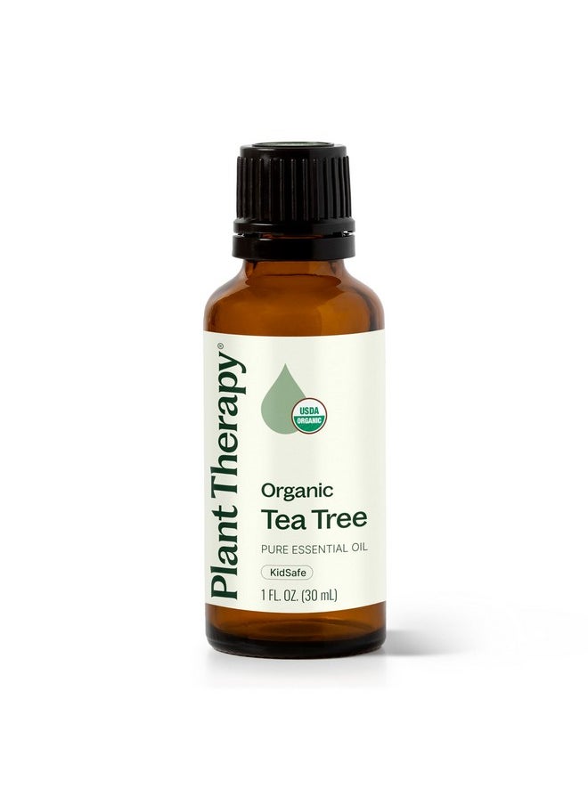 Plant Therapy Organic Tea Tree Oil (Melaleuca) 100% Pure, USDA Certified Organic, Undiluted, Natural Aromatherapy, Therapeutic Grade 30 mL (1 oz)