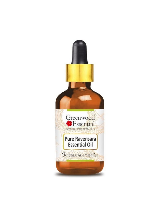 Greenwood Essential Pure Ravensara Essential Oil (Ravensara aromatica) with Glass Dropper Natural Therapeutic Grade Steam Distilled 15ml