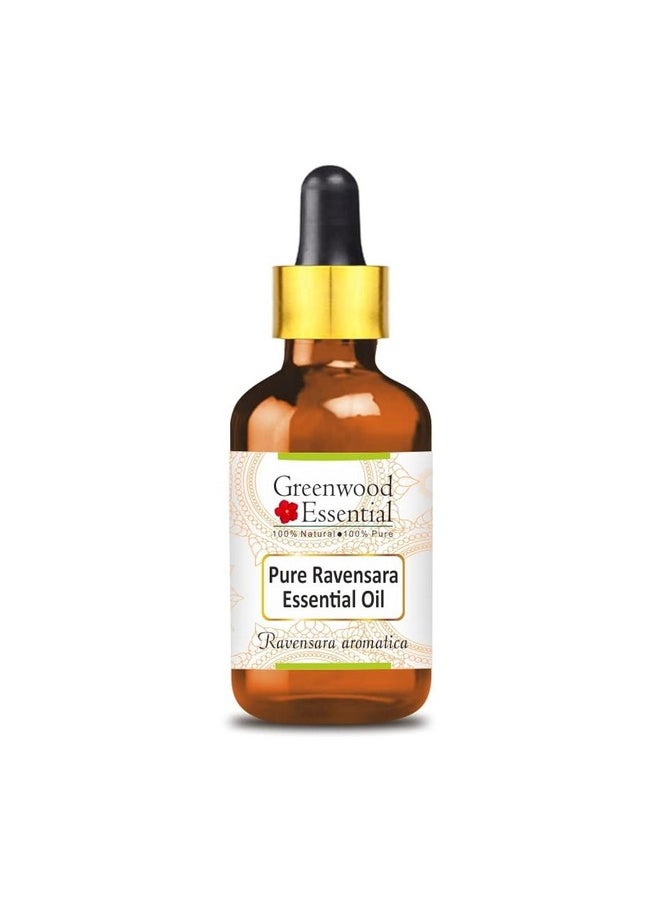 Greenwood Essential Pure Ravensara Essential Oil (Ravensara aromatica) with Glass Dropper Natural Therapeutic Grade Steam Distilled 15ml