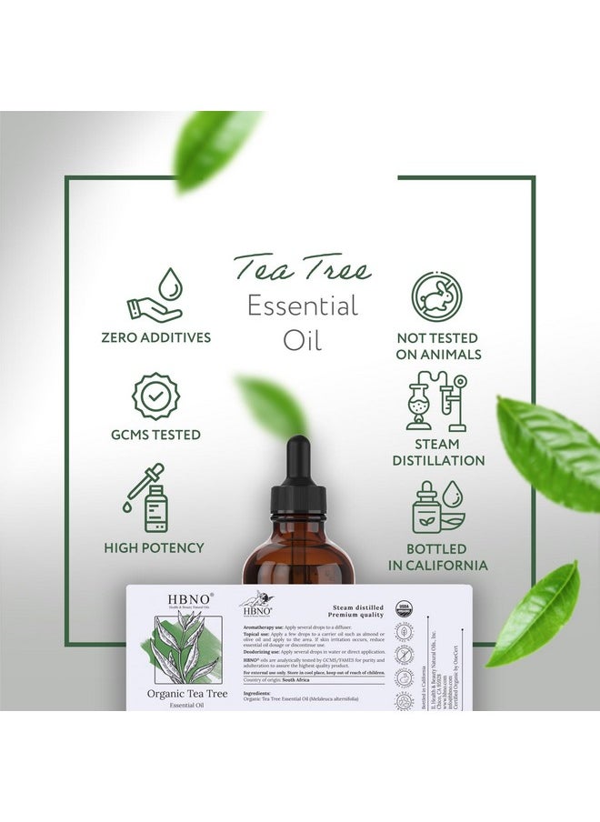 HBNO California Bottled Organic Tea Tree Oil for Skin 4 fl oz (120ml) - USDA Certified Organic Tea Tree Oil for Hair - Tea Tree Essential Oil for Aromatherapy, Tea Tree Oil for Face