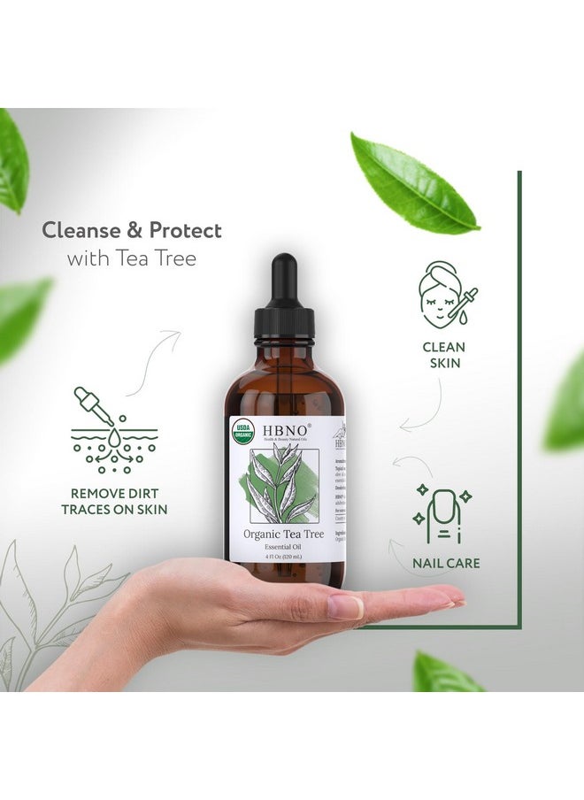 HBNO California Bottled Organic Tea Tree Oil for Skin 4 fl oz (120ml) - USDA Certified Organic Tea Tree Oil for Hair - Tea Tree Essential Oil for Aromatherapy, Tea Tree Oil for Face