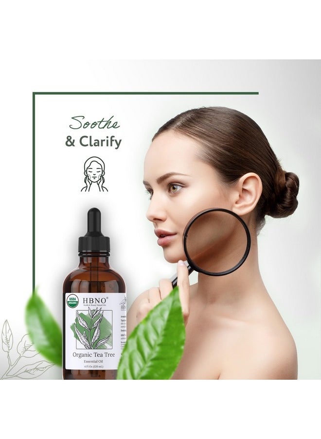 HBNO California Bottled Organic Tea Tree Oil for Skin 4 fl oz (120ml) - USDA Certified Organic Tea Tree Oil for Hair - Tea Tree Essential Oil for Aromatherapy, Tea Tree Oil for Face