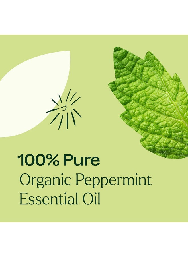 Plant Therapy Organic Peppermint Essential Oil 100% Pure, USDA Certified Organic, Undiluted, Natural Aromatherapy, for Diffusion, Skin, Hair, Therapeutic Grade 30 mL (1 oz)