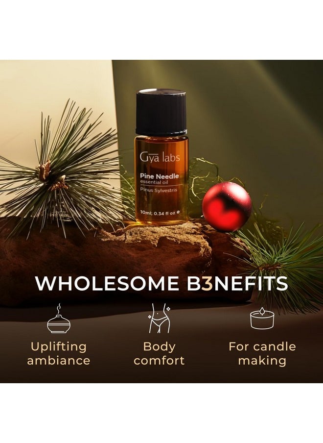 Gya Labs Pine Essential Oils for Diffuser - Fall Pine Oil Essential Oils - Pine Essential Oil for Massages Candle Making DIY - Fresh Woodsy Scent - 100% Natural (0.34 Fl Oz)