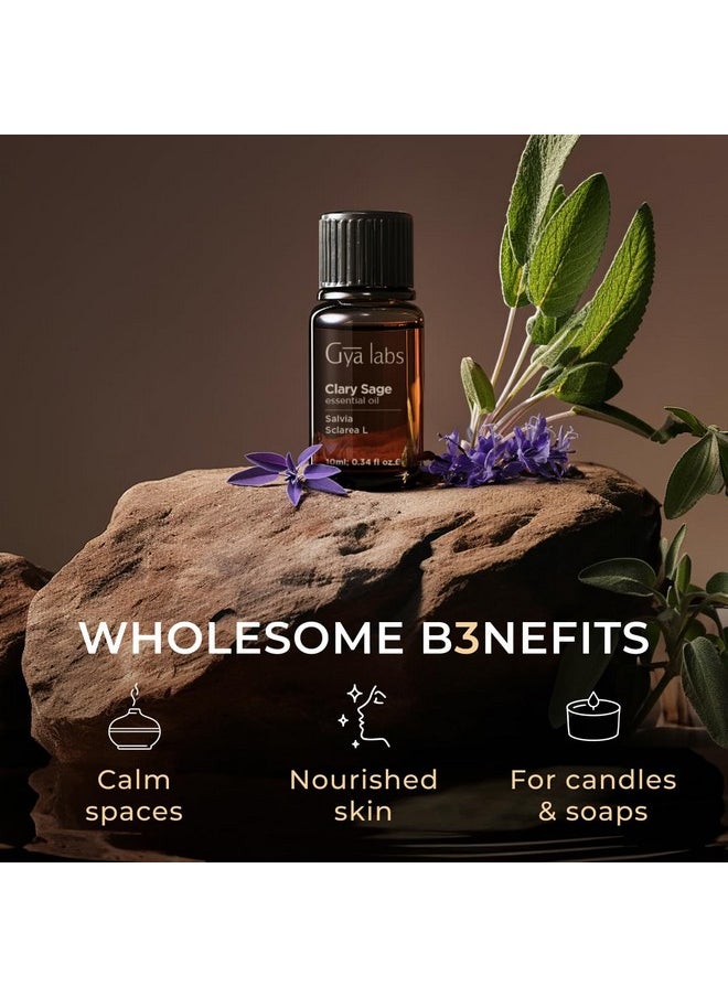 Gya Labs Clary Sage Oil Essential Oil for Diffuser - 100% Natural Clary Sage Oil - Clary Sage Essential Oil for Skin Hair Aromatherapy & Candle Making - Fragrant Scent Aromatherapy Oils (0.34 fl oz)
