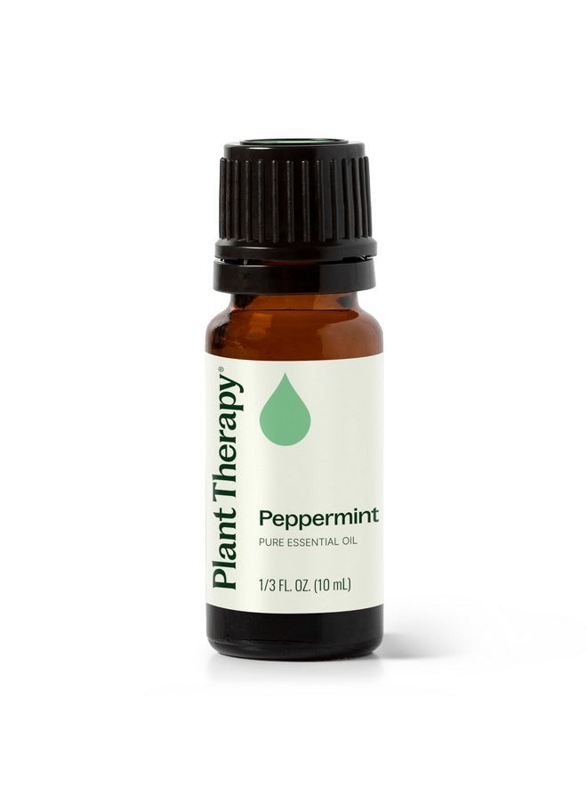 Plant Therapy Peppermint Essential Oil 10 mL (1/3 oz) 100% Pure, Undiluted, Natural Aromatherapy for Diffuser & Topical Use, Digestion, Respiratory, & Massage, Peppermint Oil for Skin & Hair