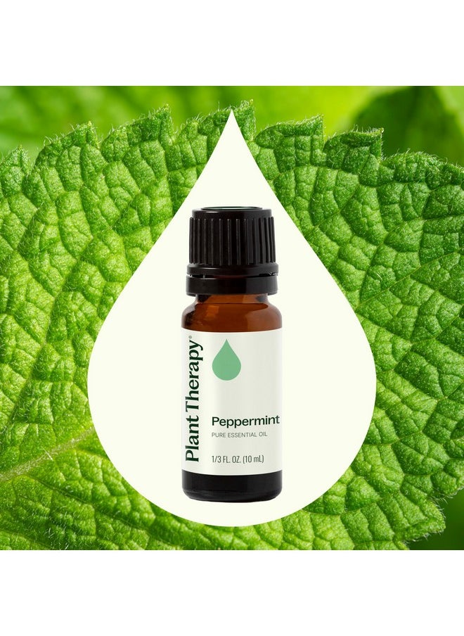 Plant Therapy Peppermint Essential Oil 10 mL (1/3 oz) 100% Pure, Undiluted, Natural Aromatherapy for Diffuser & Topical Use, Digestion, Respiratory, & Massage, Peppermint Oil for Skin & Hair