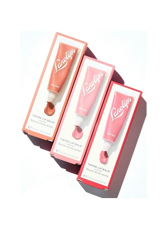 Essentials Lip Tint Gift Set - Tinted Lanolin Lip Balm Set - Hydrating Lip Moisturizer Kit With Three Universal Shades (12.5G / 0.44 Oz Each)