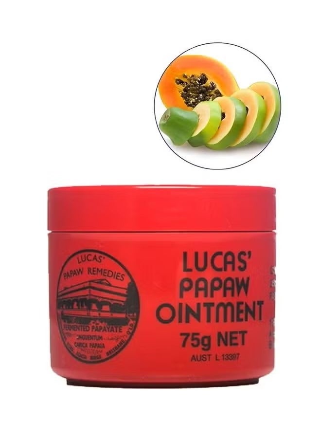 Lip Moisturizing Ointment 75g