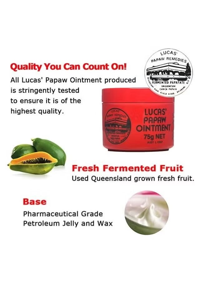 Lip Moisturizing Ointment 75g