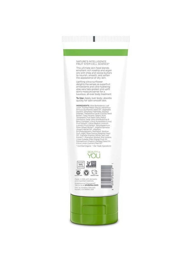 Andalou Citrus Verbana Body Lotion 8 Oz