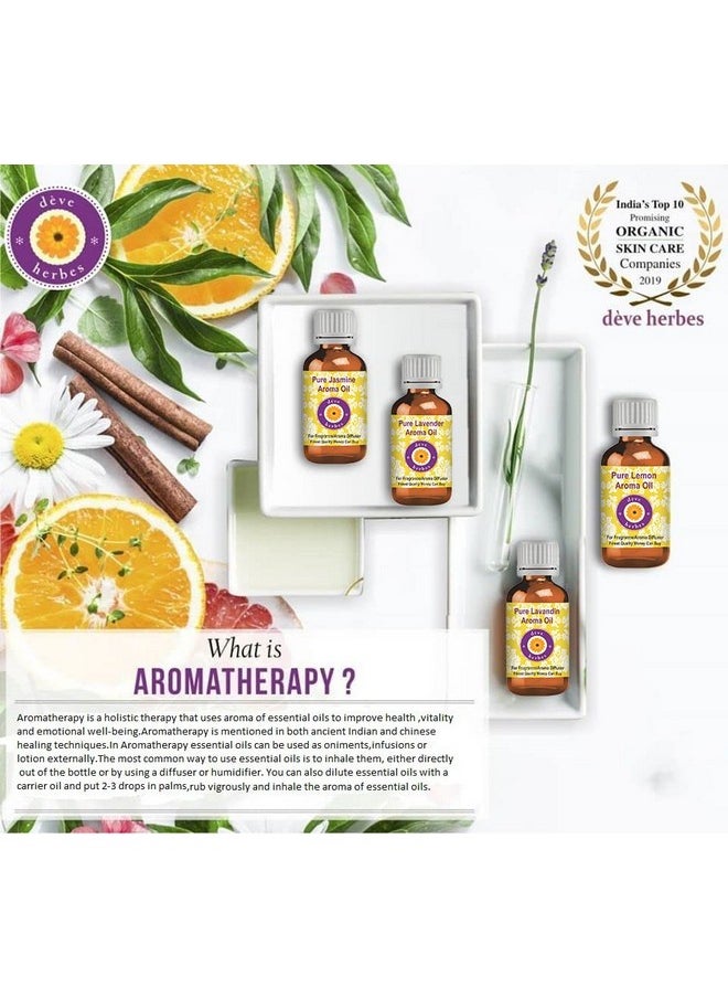 Deve Herbes Pure Nar Kachur Essential Oil (Curcuma zedoaria) Steam Distilled 10ml