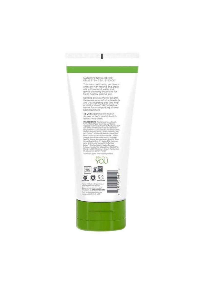 Andalou Citrus Verbena Uplifting Gel 8.5 Oz
