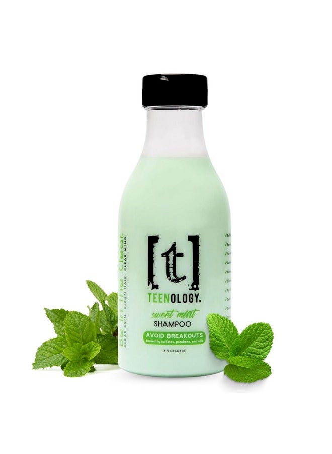 Teenology Shampoo for Teens - Avoid Forehead and Body Acne - No Sulfates or Parabens, Noncomedogenic, Natural Botanical Extracts, 16 oz. (Sweet Mint)