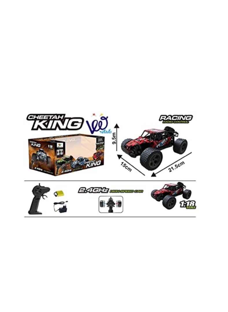 Cheetah King Turbo - MAD PHANTOM 2.4GHz 1:18 Extreme Power HighSpeed RC Muscle Buggy Drift Car with Pistol Grip Remote Controller