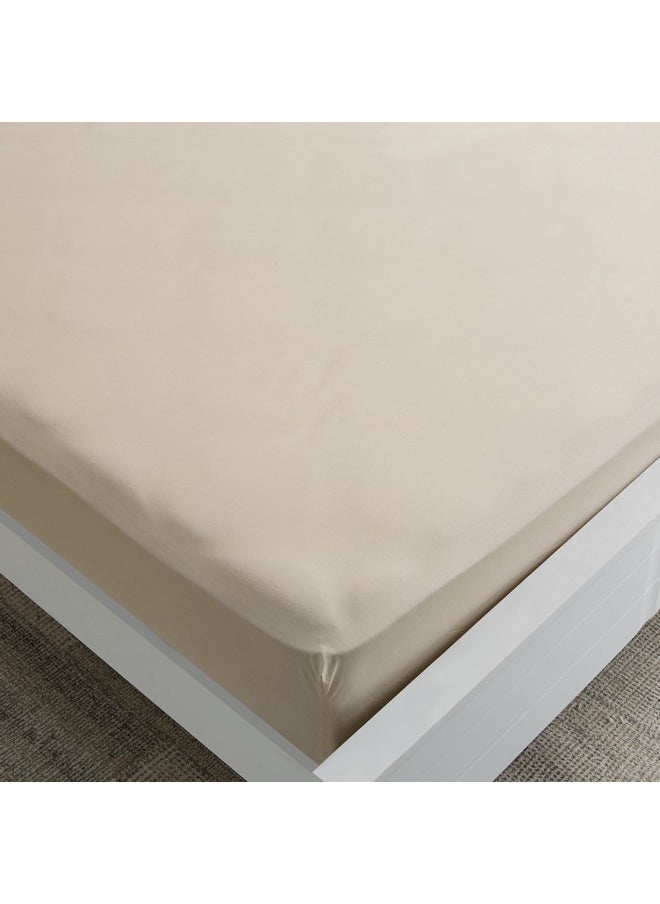 Essential Solid Cotton King Fitted Sheet 180 x 210 x 36 cm